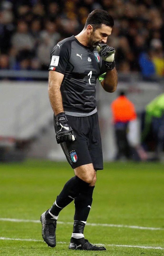 类似荷甲的 类似荷甲的